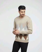 Merino Wool Sanzio V-Neck Fashion Sweater For Men